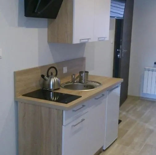 Apartment Konwalia Wielen